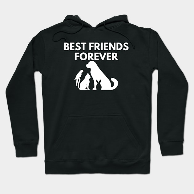 Best Friends Forever Hoodie by HobbyAndArt